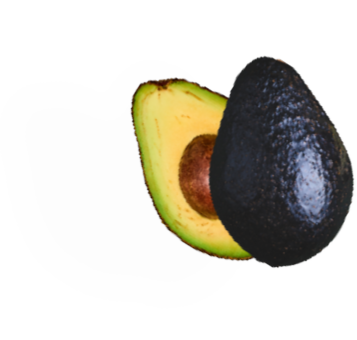 abacate
