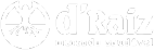 logo-draiz